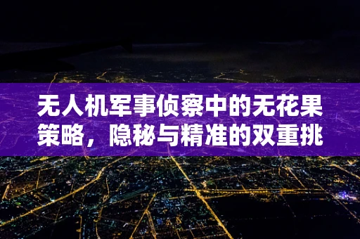 无人机军事侦察中的无花果策略，隐秘与精准的双重挑战