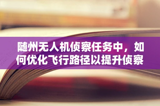 随州无人机侦察任务中，如何优化飞行路径以提升侦察效率？
