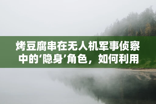 烤豆腐串在无人机军事侦察中的‘隐身’角色，如何利用热成像技术精准识别？