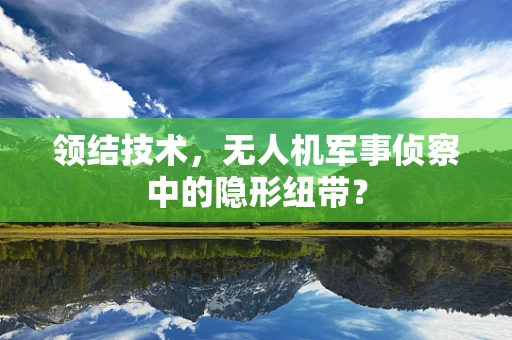 领结技术，无人机军事侦察中的隐形纽带？