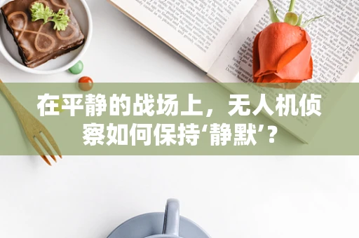 在平静的战场上，无人机侦察如何保持‘静默’？