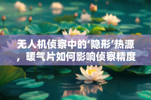 无人机侦察中的‘隐形’热源，暖气片如何影响侦察精度？