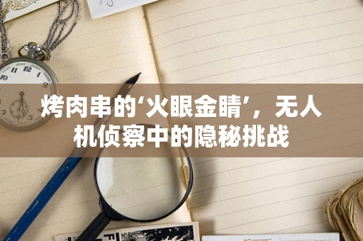 烤肉串的‘火眼金睛’，无人机侦察中的隐秘挑战