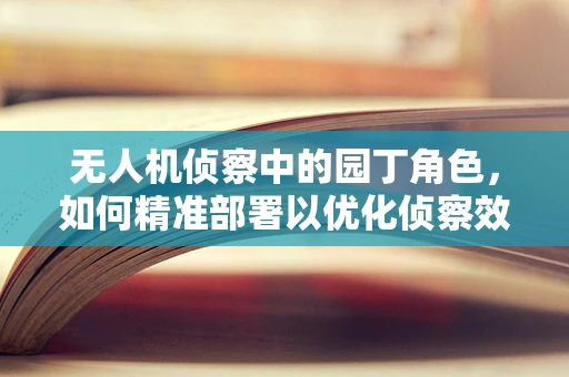无人机侦察中的园丁角色，如何精准部署以优化侦察效率？