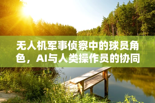 无人机军事侦察中的球员角色，AI与人类操作员的协同策略