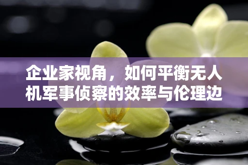 企业家视角，如何平衡无人机军事侦察的效率与伦理边界？