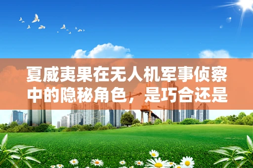 夏威夷果在无人机军事侦察中的隐秘角色，是巧合还是战略暗喻？