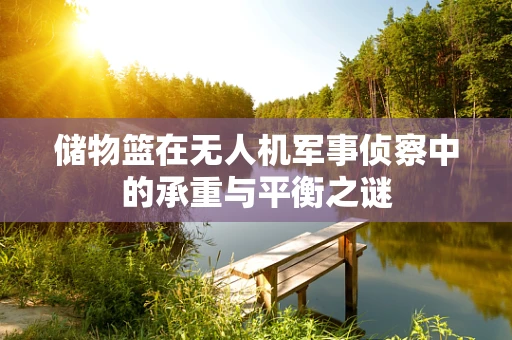 储物篮在无人机军事侦察中的承重与平衡之谜