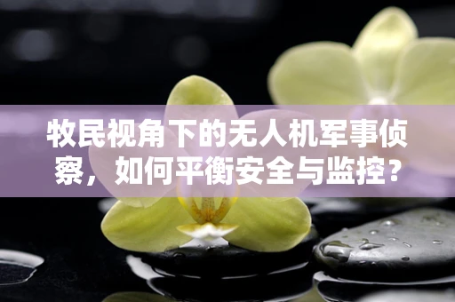 牧民视角下的无人机军事侦察，如何平衡安全与监控？
