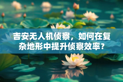 吉安无人机侦察，如何在复杂地形中提升侦察效率？