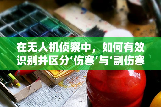 在无人机侦察中，如何有效识别并区分‘伤寒’与‘副伤寒’的传播区域？