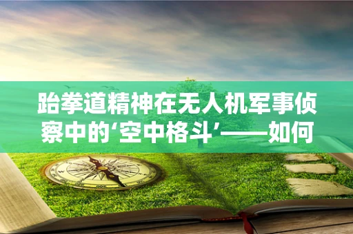 跆拳道精神在无人机军事侦察中的‘空中格斗’——如何提升无人机应对干扰的能力？