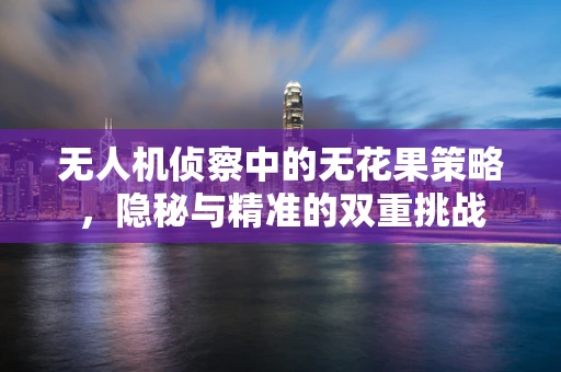 无人机侦察中的无花果策略，隐秘与精准的双重挑战