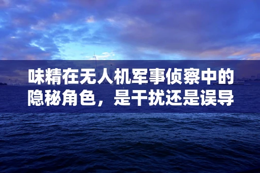 味精在无人机军事侦察中的隐秘角色，是干扰还是误导？