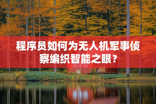 程序员如何为无人机军事侦察编织智能之眼？