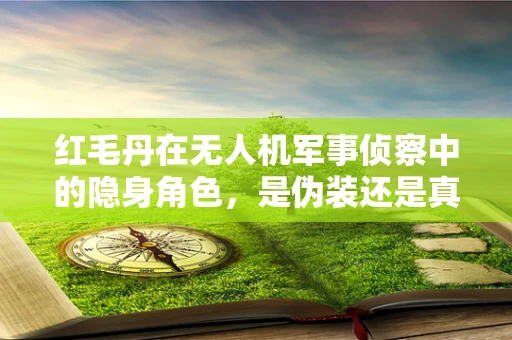 红毛丹在无人机军事侦察中的隐身角色，是伪装还是真实应用？