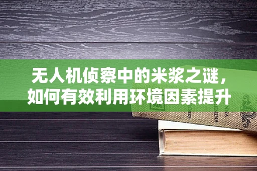 无人机侦察中的米浆之谜，如何有效利用环境因素提升侦察效率？
