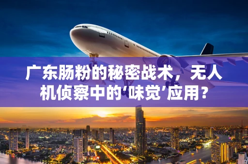 广东肠粉的秘密战术，无人机侦察中的‘味觉’应用？