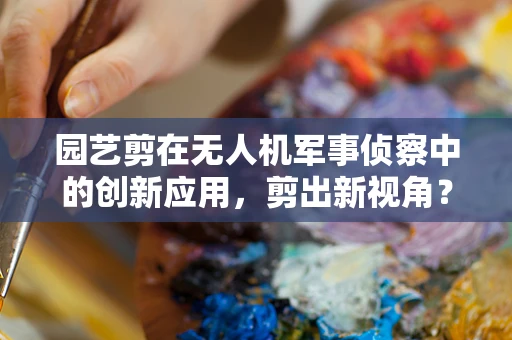 园艺剪在无人机军事侦察中的创新应用，剪出新视角？