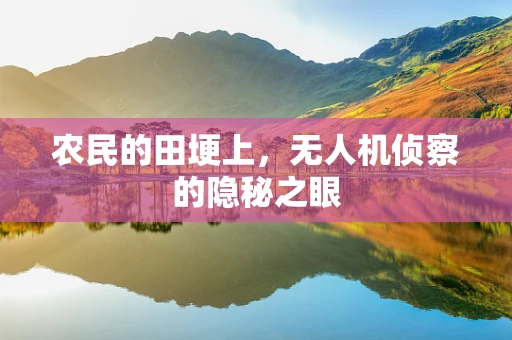 农民的田埂上，无人机侦察的隐秘之眼