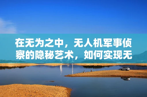 在无为之中，无人机军事侦察的隐秘艺术，如何实现无声胜有声的侦查？