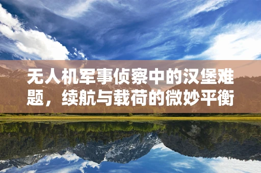 无人机军事侦察中的汉堡难题，续航与载荷的微妙平衡