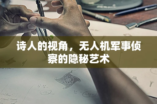 诗人的视角，无人机军事侦察的隐秘艺术