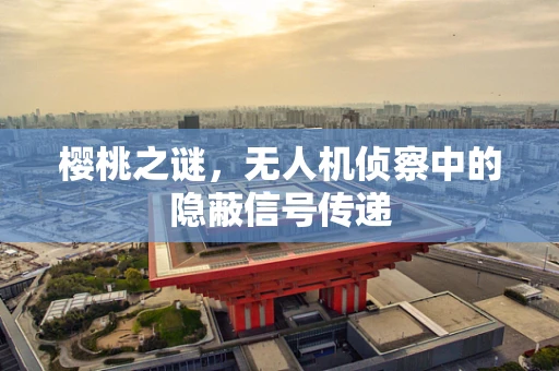 樱桃之谜，无人机侦察中的隐蔽信号传递