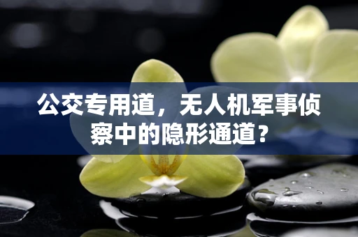 公交专用道，无人机军事侦察中的隐形通道？
