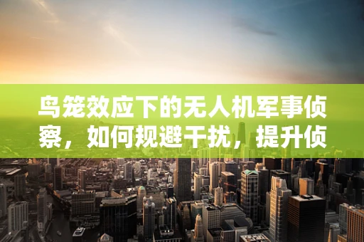 鸟笼效应下的无人机军事侦察，如何规避干扰，提升侦察效率？