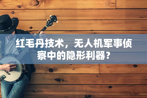 红毛丹技术，无人机军事侦察中的隐形利器？