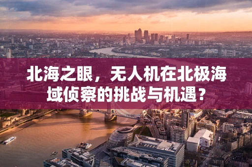 北海之眼，无人机在北极海域侦察的挑战与机遇？