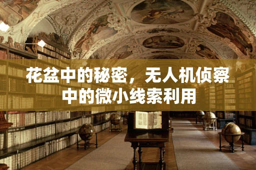 花盆中的秘密，无人机侦察中的微小线索利用