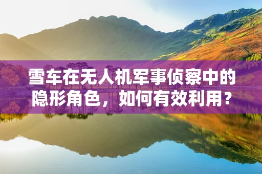 雪车在无人机军事侦察中的隐形角色，如何有效利用？