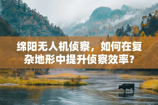 绵阳无人机侦察，如何在复杂地形中提升侦察效率？