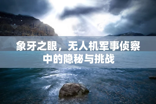 象牙之眼，无人机军事侦察中的隐秘与挑战