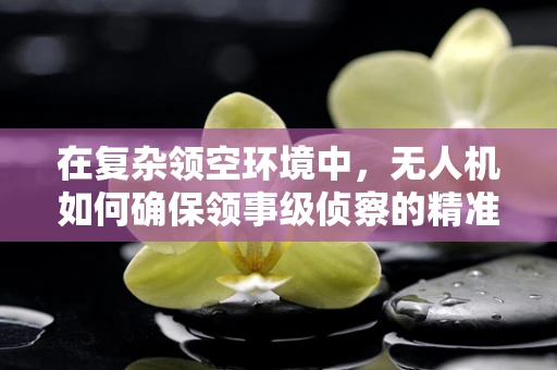 在复杂领空环境中，无人机如何确保领事级侦察的精准与安全？