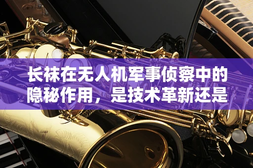 长袜在无人机军事侦察中的隐秘作用，是技术革新还是战术误导？
