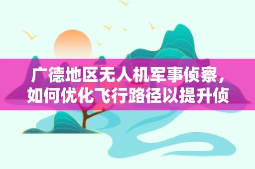 广德地区无人机军事侦察，如何优化飞行路径以提升侦察效率？