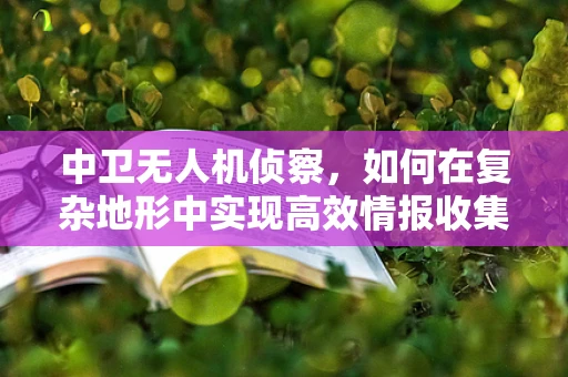 中卫无人机侦察，如何在复杂地形中实现高效情报收集？