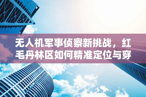 无人机军事侦察新挑战，红毛丹林区如何精准定位与穿透？