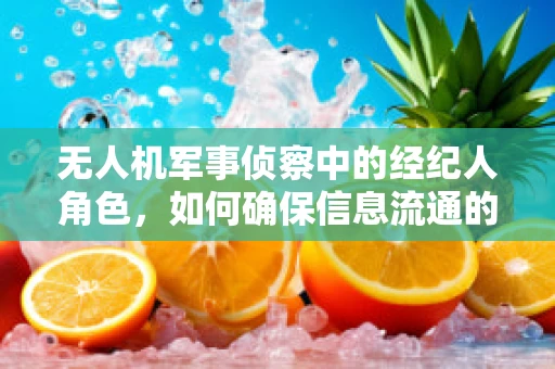 无人机军事侦察中的经纪人角色，如何确保信息流通的透明与安全？