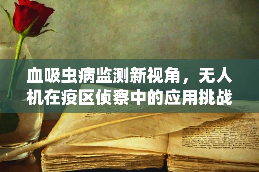 血吸虫病监测新视角，无人机在疫区侦察中的应用挑战