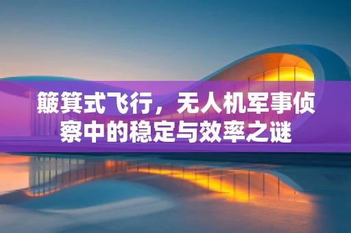 簸箕式飞行，无人机军事侦察中的稳定与效率之谜