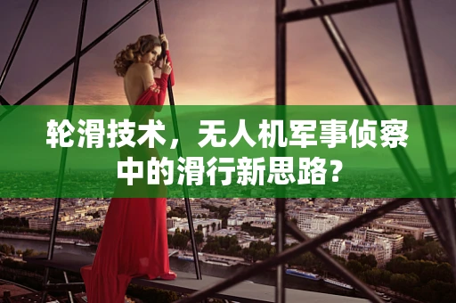 轮滑技术，无人机军事侦察中的滑行新思路？