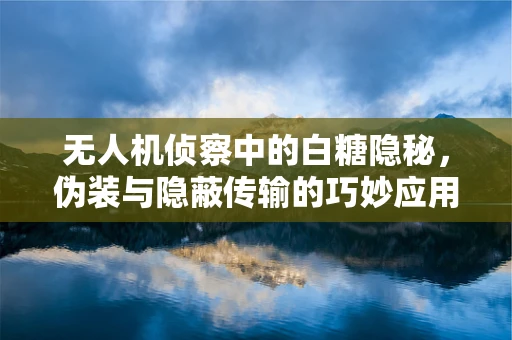 无人机侦察中的白糖隐秘，伪装与隐蔽传输的巧妙应用？