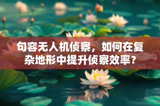句容无人机侦察，如何在复杂地形中提升侦察效率？