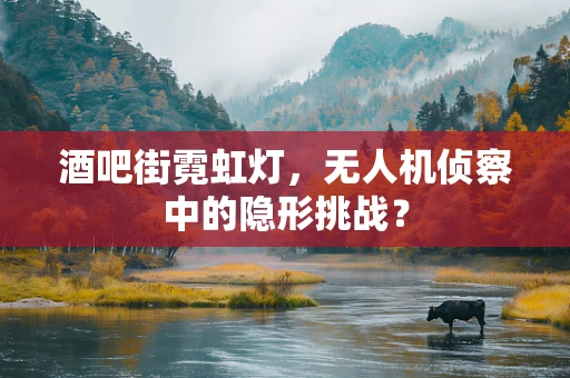酒吧街霓虹灯，无人机侦察中的隐形挑战？