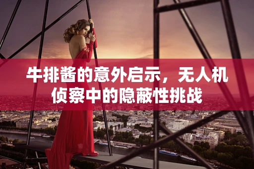牛排酱的意外启示，无人机侦察中的隐蔽性挑战