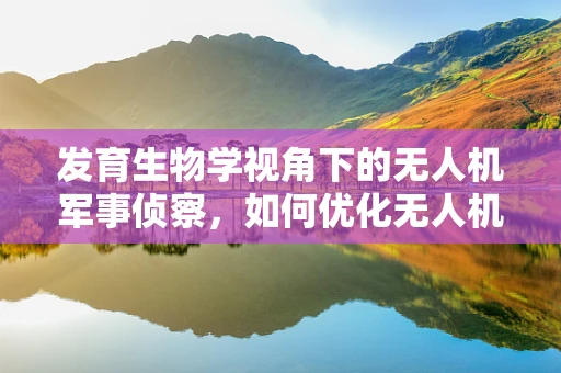 发育生物学视角下的无人机军事侦察，如何优化无人机生物特征识别能力？
